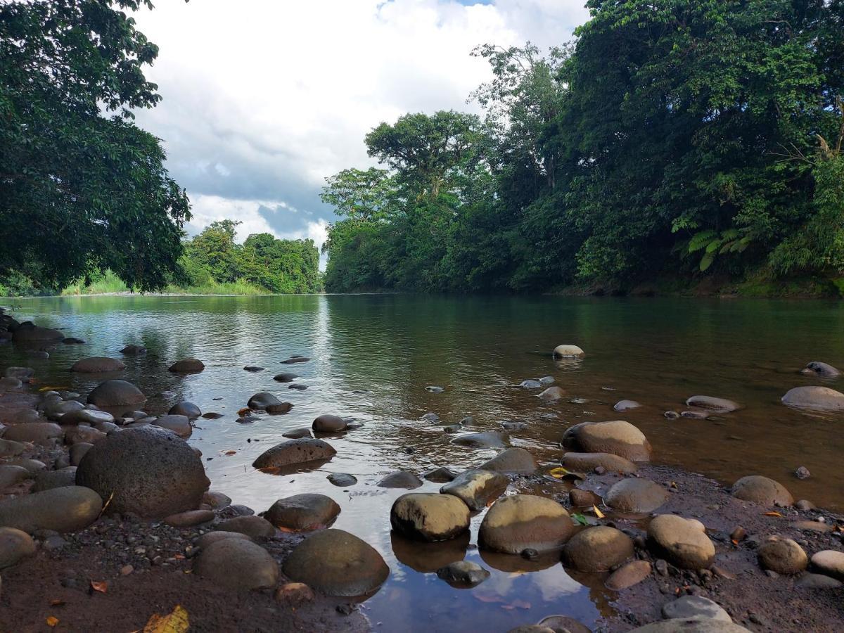 Cabana Para Vacacionar Rio Sarapiquí Exteriör bild